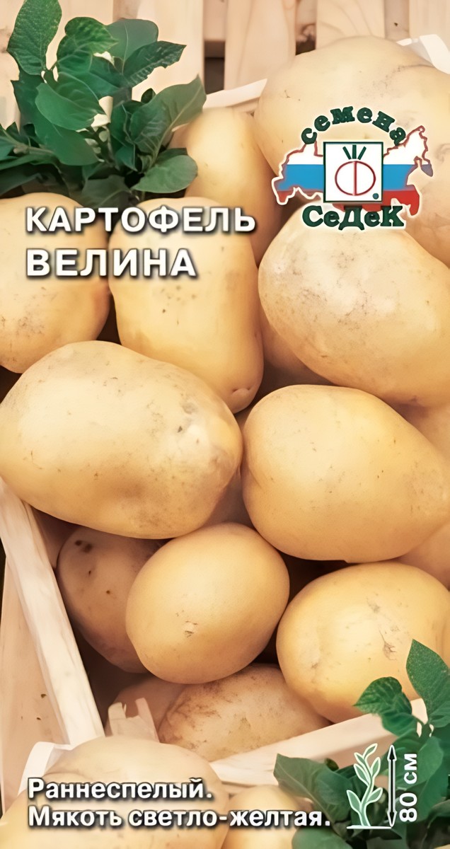 Картофель Велина, 0,02 г