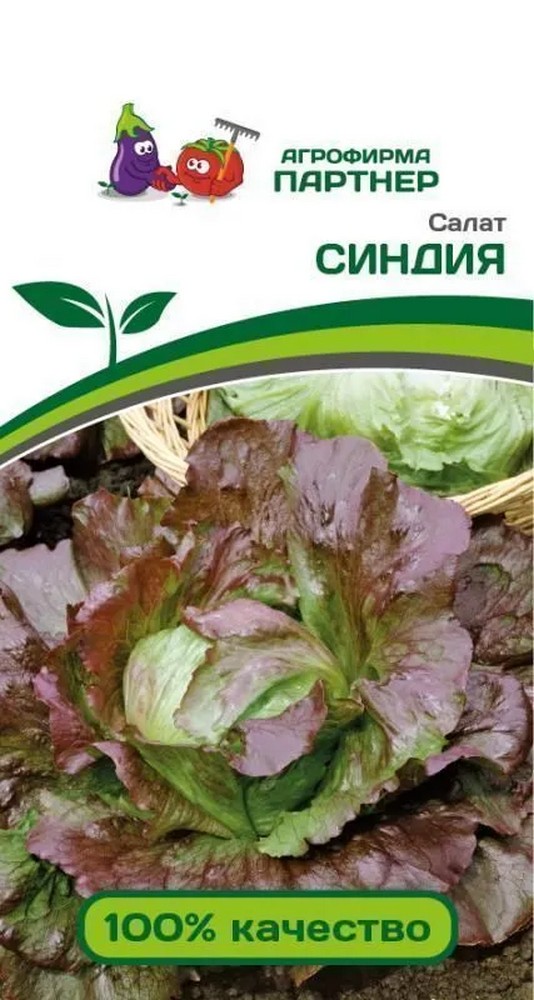 Салат Синдия, 1 г. Агрофирма Партнер.