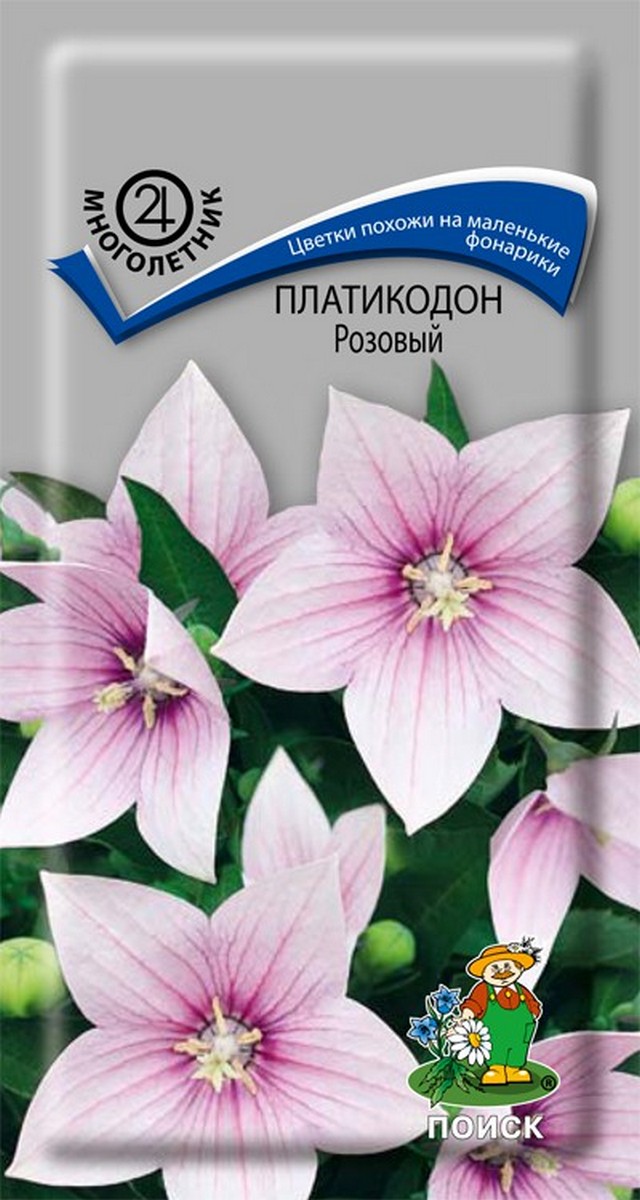 Платикодон Розовый, 0,1 г