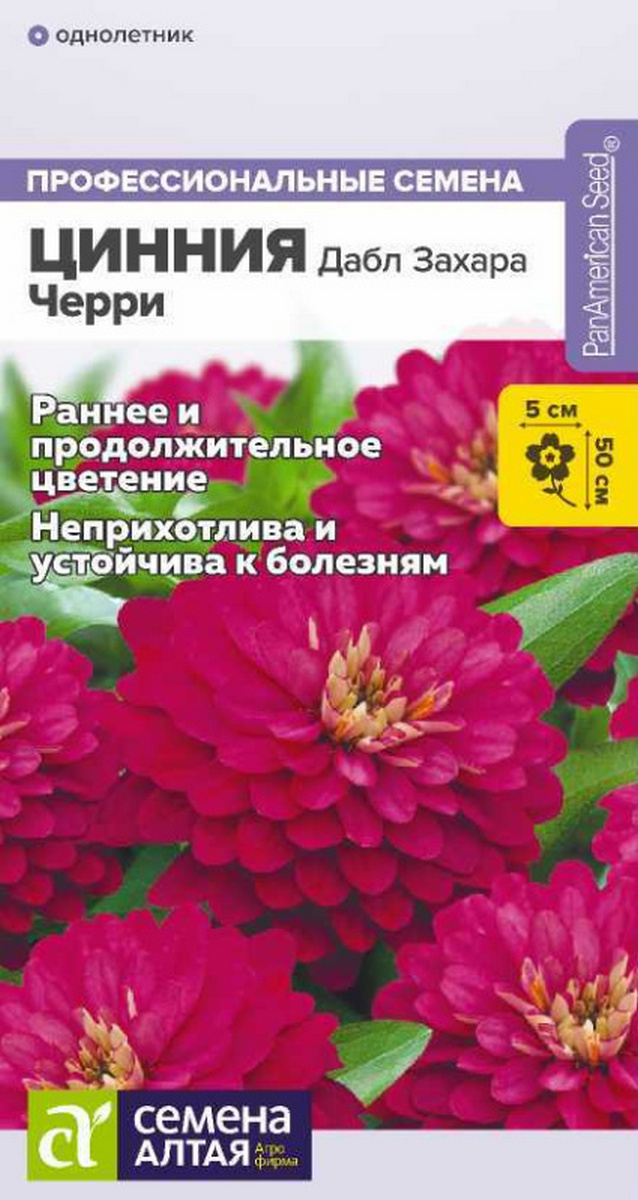 Цинния Дабл Захара Черри, 5 шт. Профессиональные семена.
