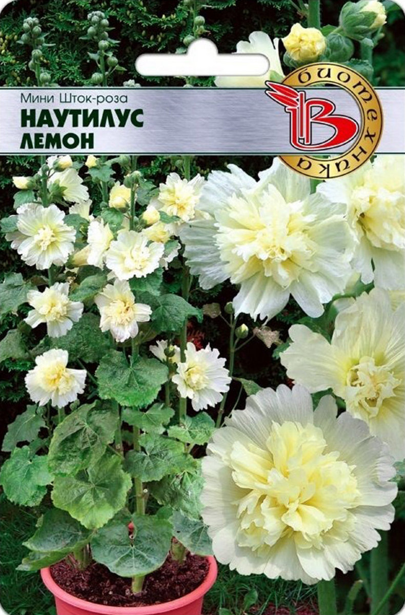Мини Шток-Роза Наутилус Лемон, 8 шт. Биотехника