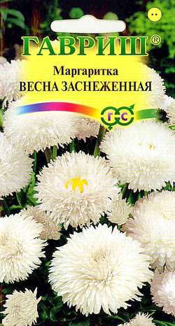 Маргаритка Весна заснеженная, 0,02 г. Устойчив к заморозкам.