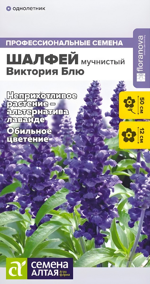 Шалфей Виктория Блю мучнистый, 10 шт.  