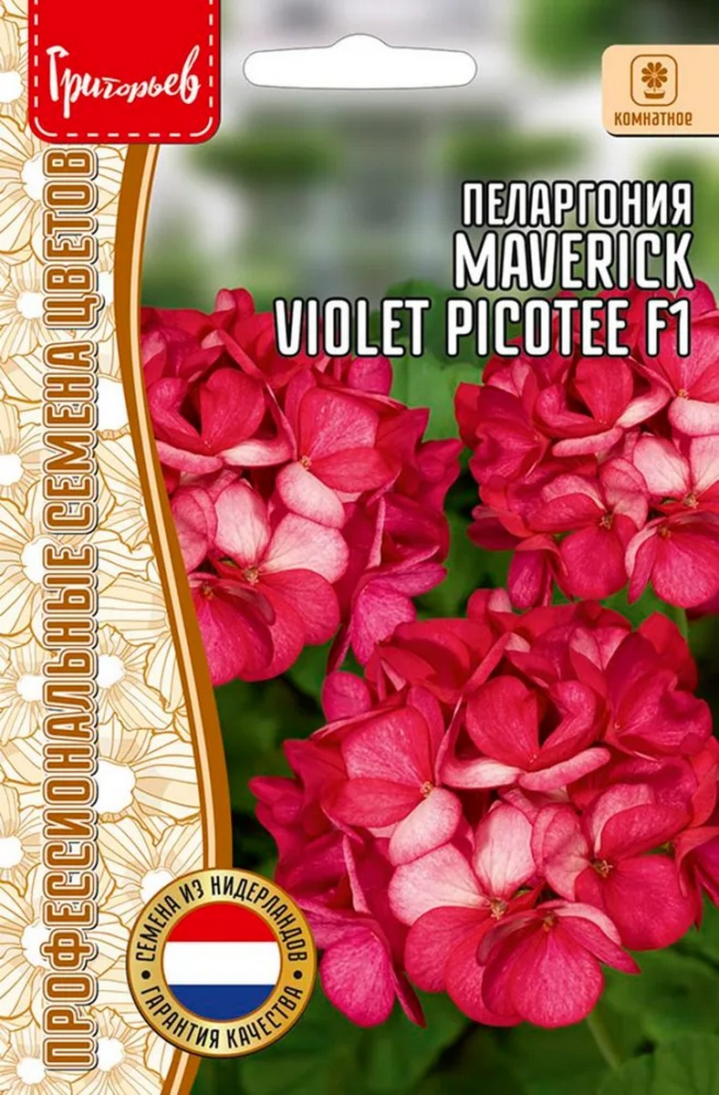 Пеларгония Маверик Violet Picotee F1, 3 шт.