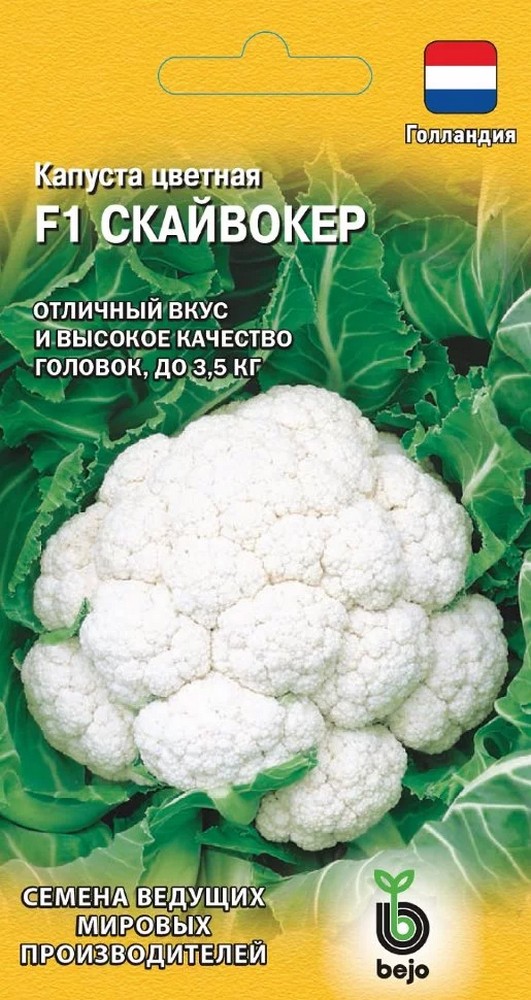 Капуста цветная Скайвокер F1, 10 шт. Голландия.