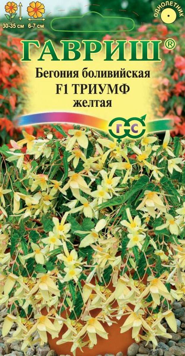 Бегония боливийская Триумф желтый F1, гранулы, 5 шт. 