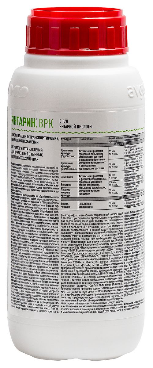 Янтарин, 500 мл Август