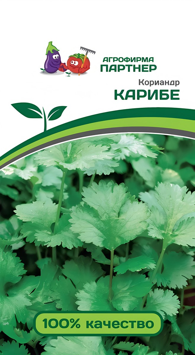 Кориандр Карибе, 2 г. Агрофирма Партнер.