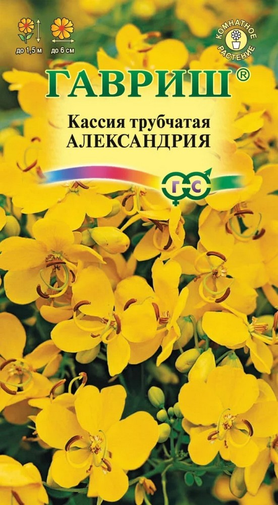 Кассия Александрия, трубчатая, 3 шт.