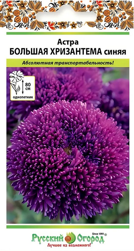 Астра Большая Хризантема Синяя, 50 шт. Русский огород