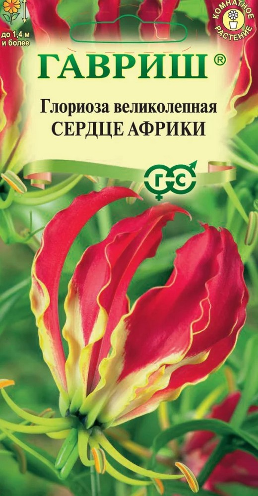 Глориоза Сердце африки, 3 шт.