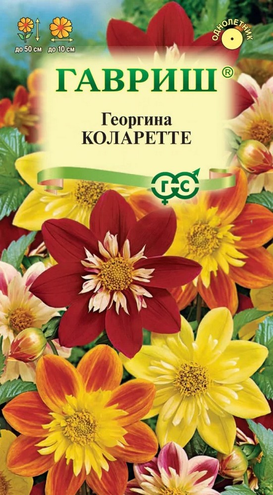 Георгина Коларетте, 0,2 г