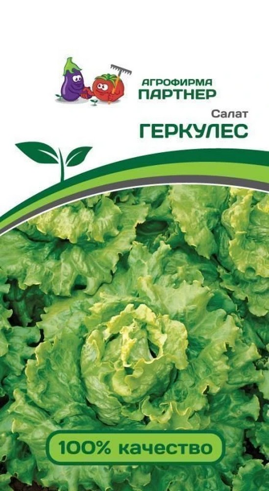 Салат листовой Геркулес, 0,5 г. Агрофирма Партнер.