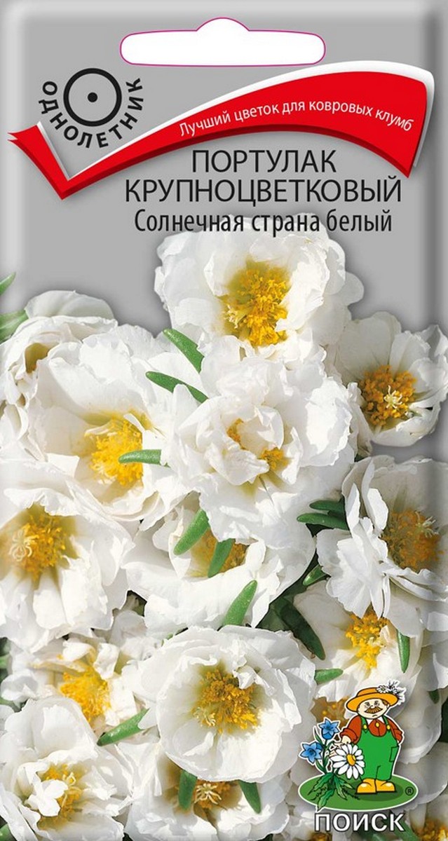 Портулак крупноцветковый Солнечная страна белый, 0,1 г