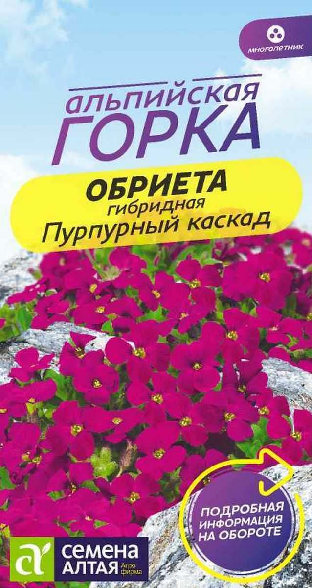 Обриета Пурпурный каскад, 0,03 г. Альпийская горка