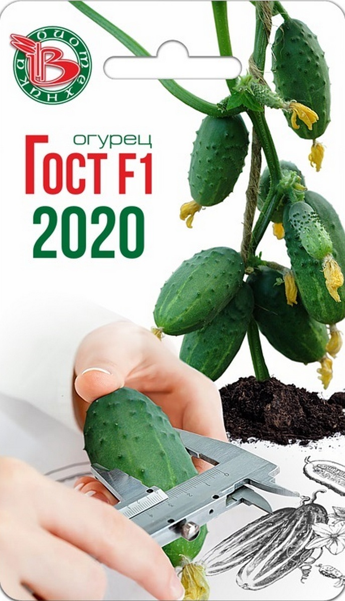 Огурец Гост F1 2020, 8 шт. Биотехника
