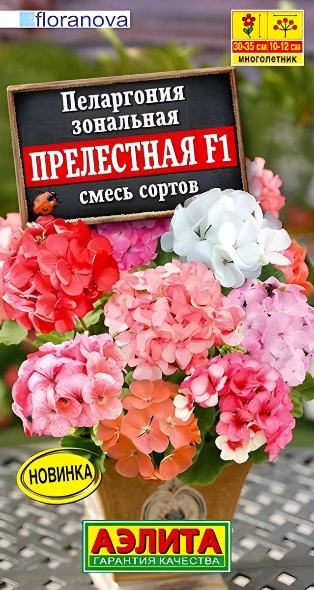 Пеларгония Прелестная F1, смесь сортов, 5 шт.