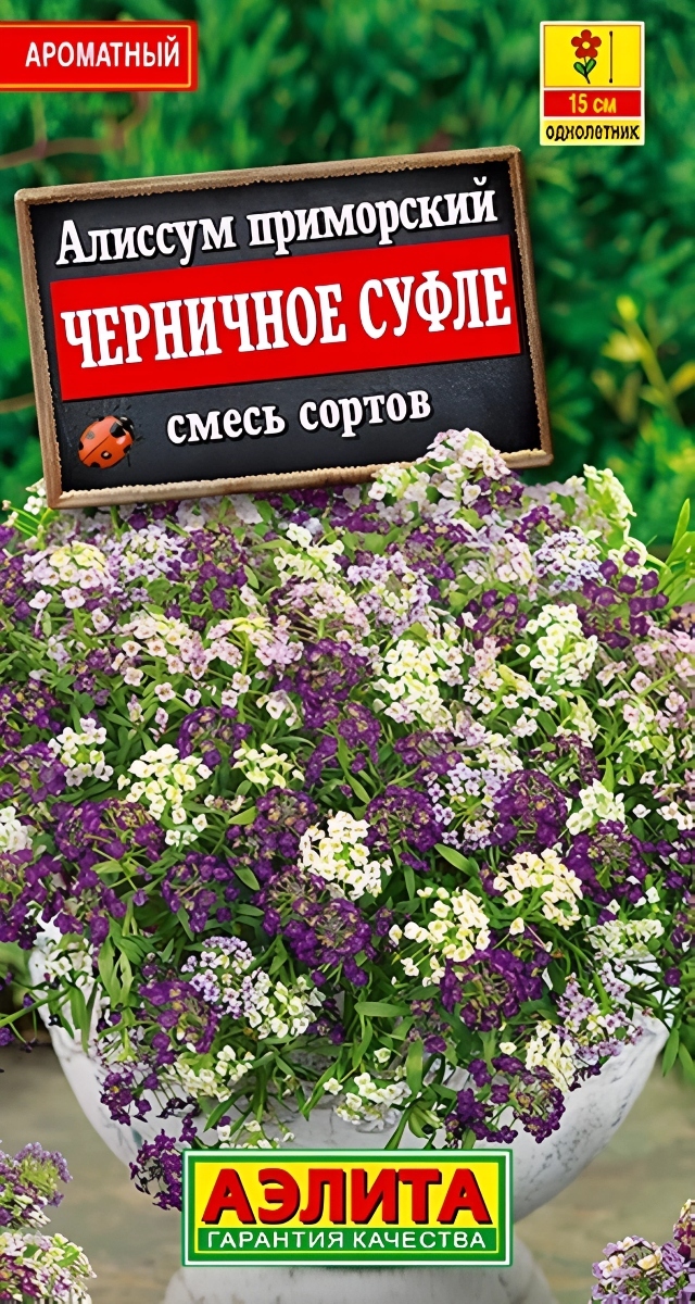 Алиссум Черничное суфле, 0,05 г