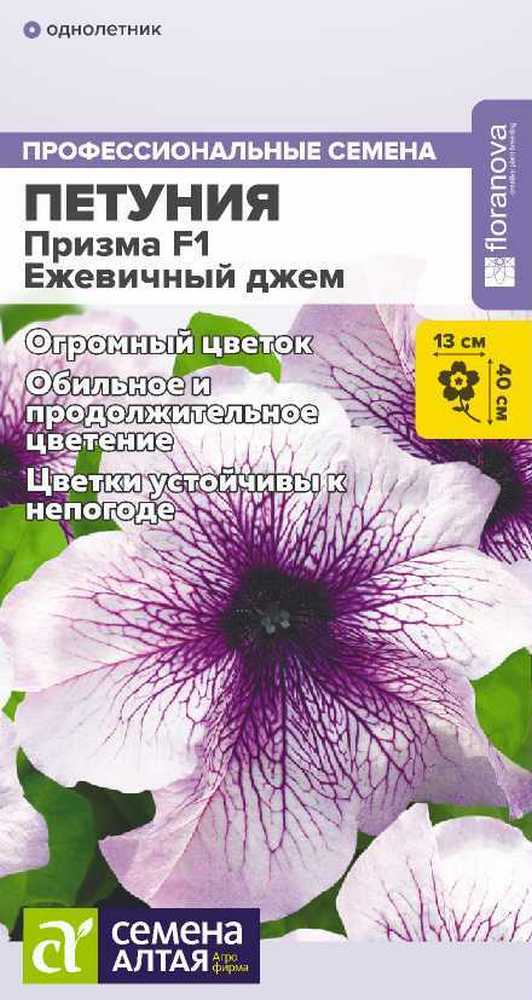 Петуния Призма Ежевичный джем F1 10 шт. 