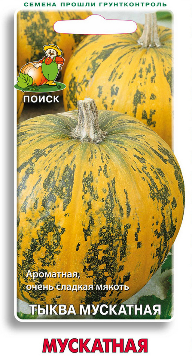 Тыква Мускатная, 10 шт. Поиск