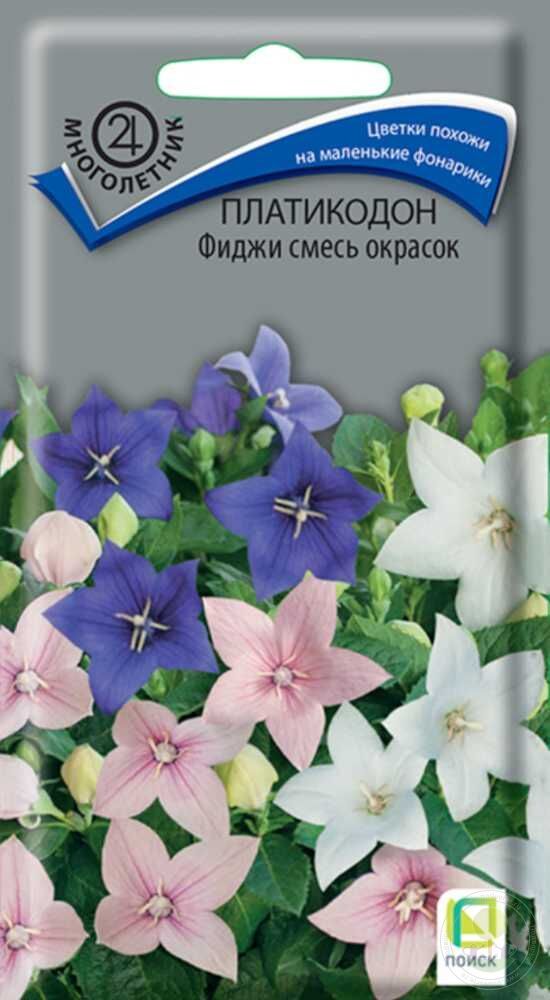 Платикодон Фиджи смесь, 25 шт.