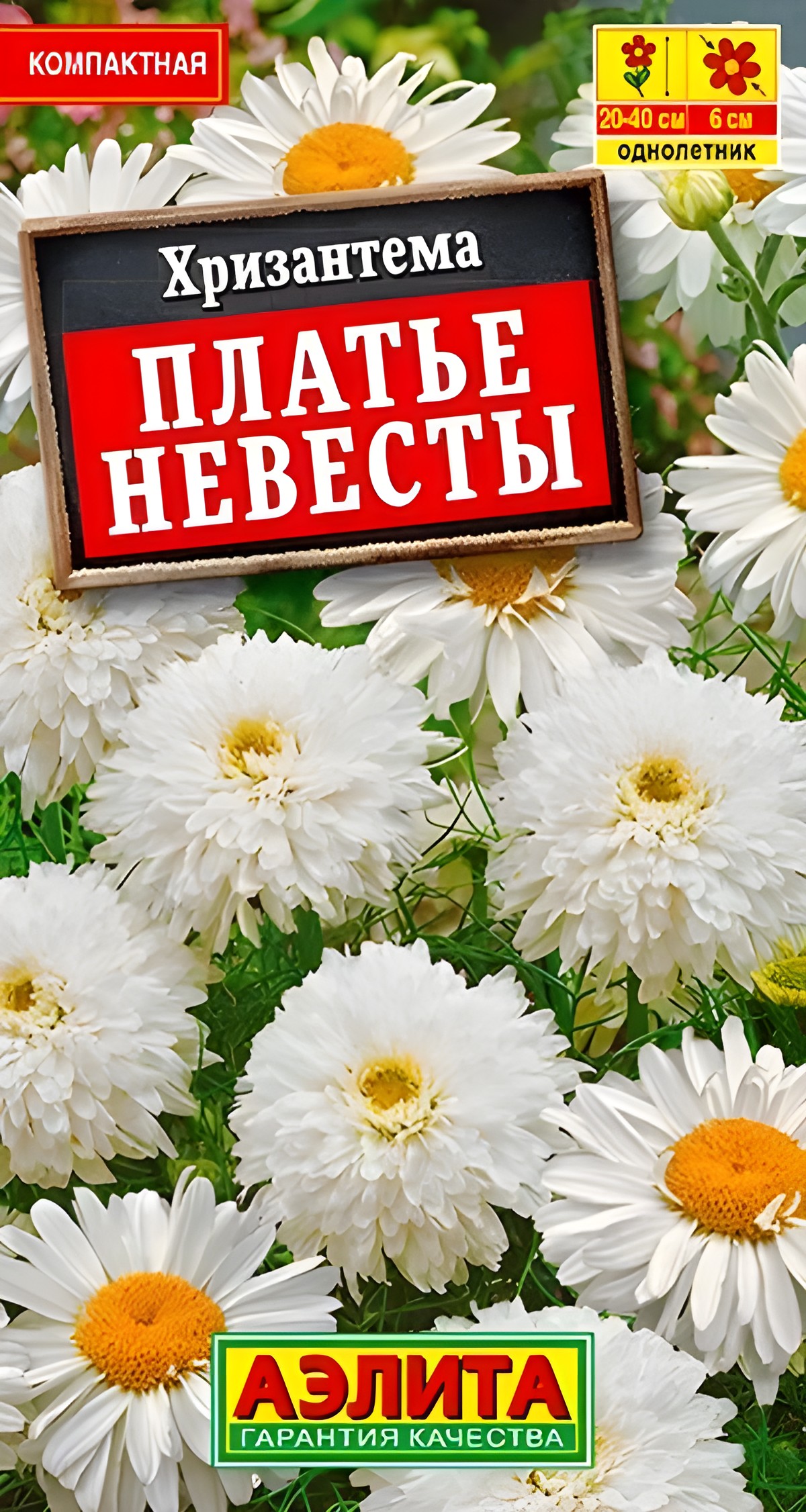 Хризантема махровая Платье невесты, 0,05 г