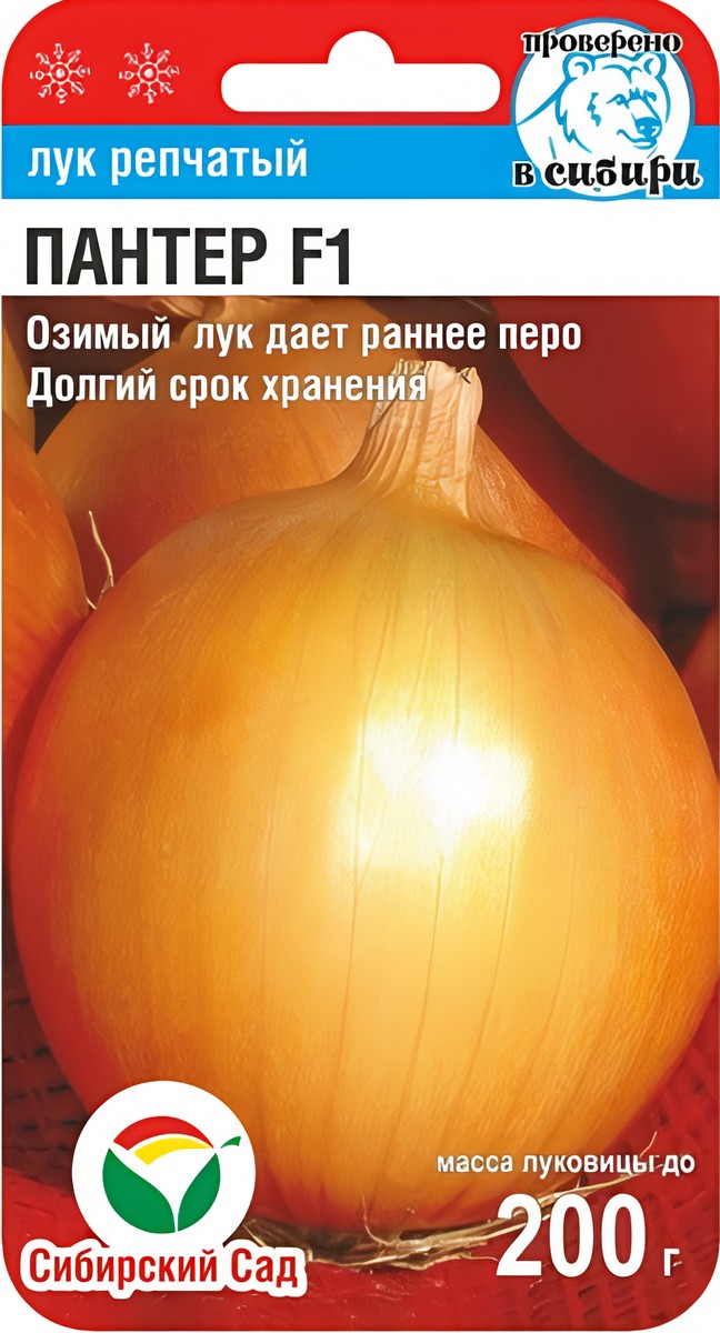Лук Пантер F1, 1 г. Сибирский сад