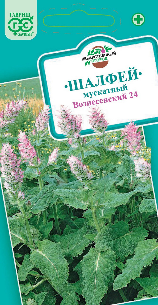 Шалфей Мускатный Вознесенский 24, 0,3 г