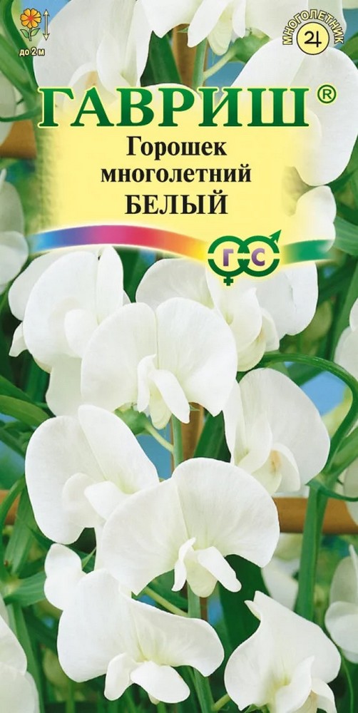 Горошек многолетний Белый, 0,5 г