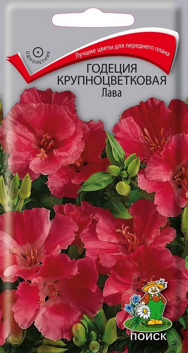 Годеция Крупноцветковая Лава, 0,2 г