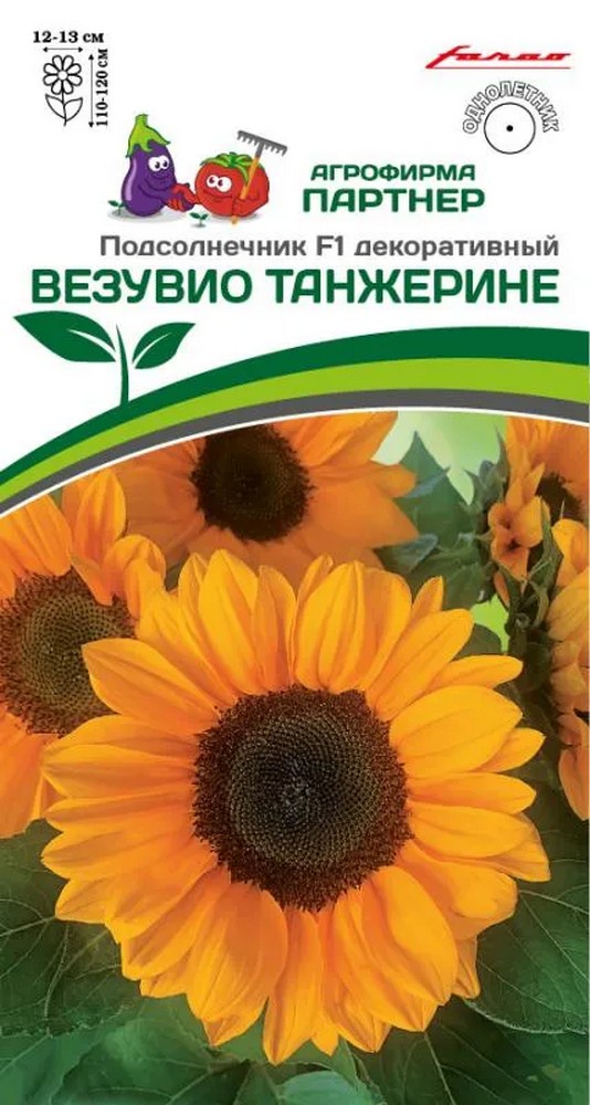 Подсолнечник декоративный Везувио танжерине F1, 10 шт. Агрофирма Партнер.