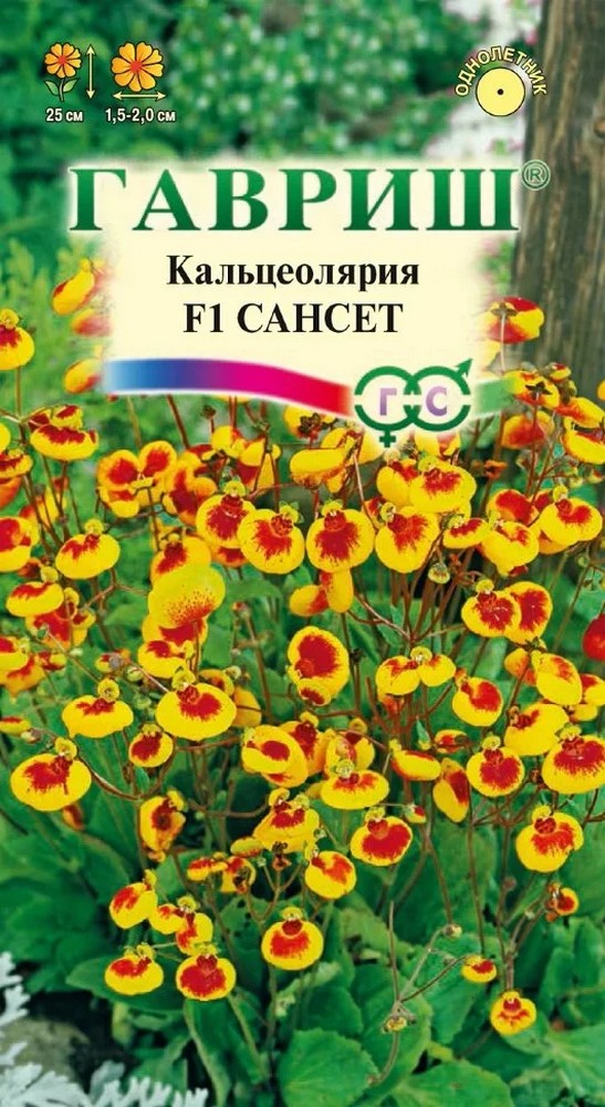 Кальцеолярия Сансет F1, 10 шт.