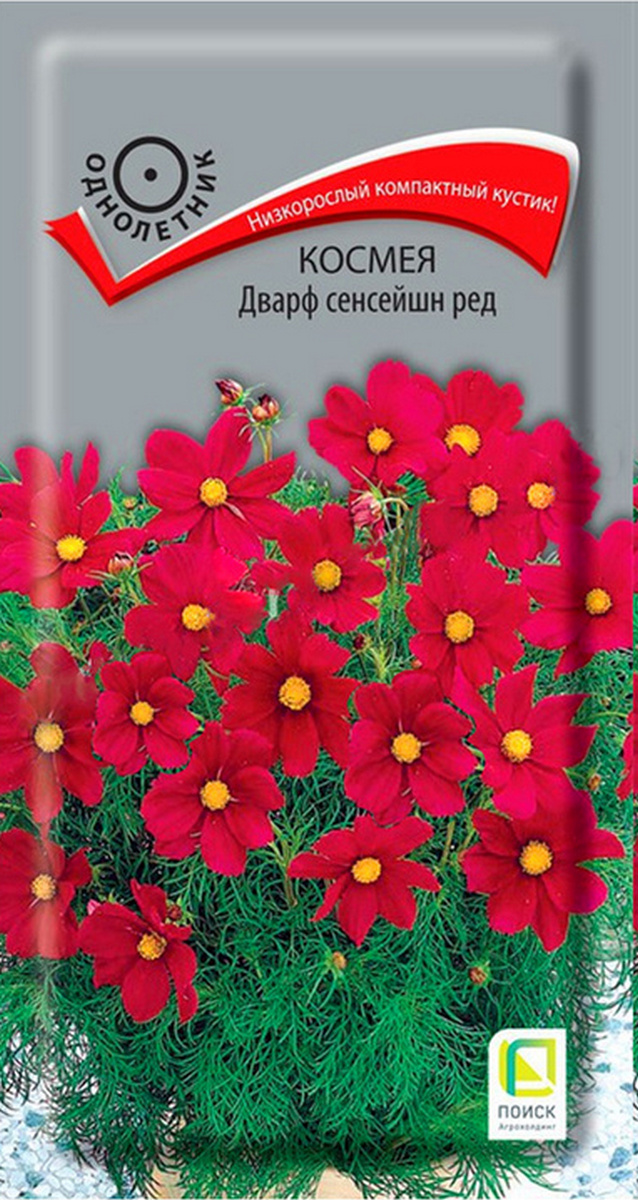Космея Дварф сенсейшн ред, 0,2 г