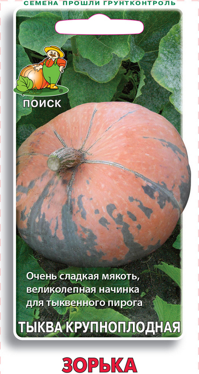 Тыква крупноплодная Зорька, 10 шт.