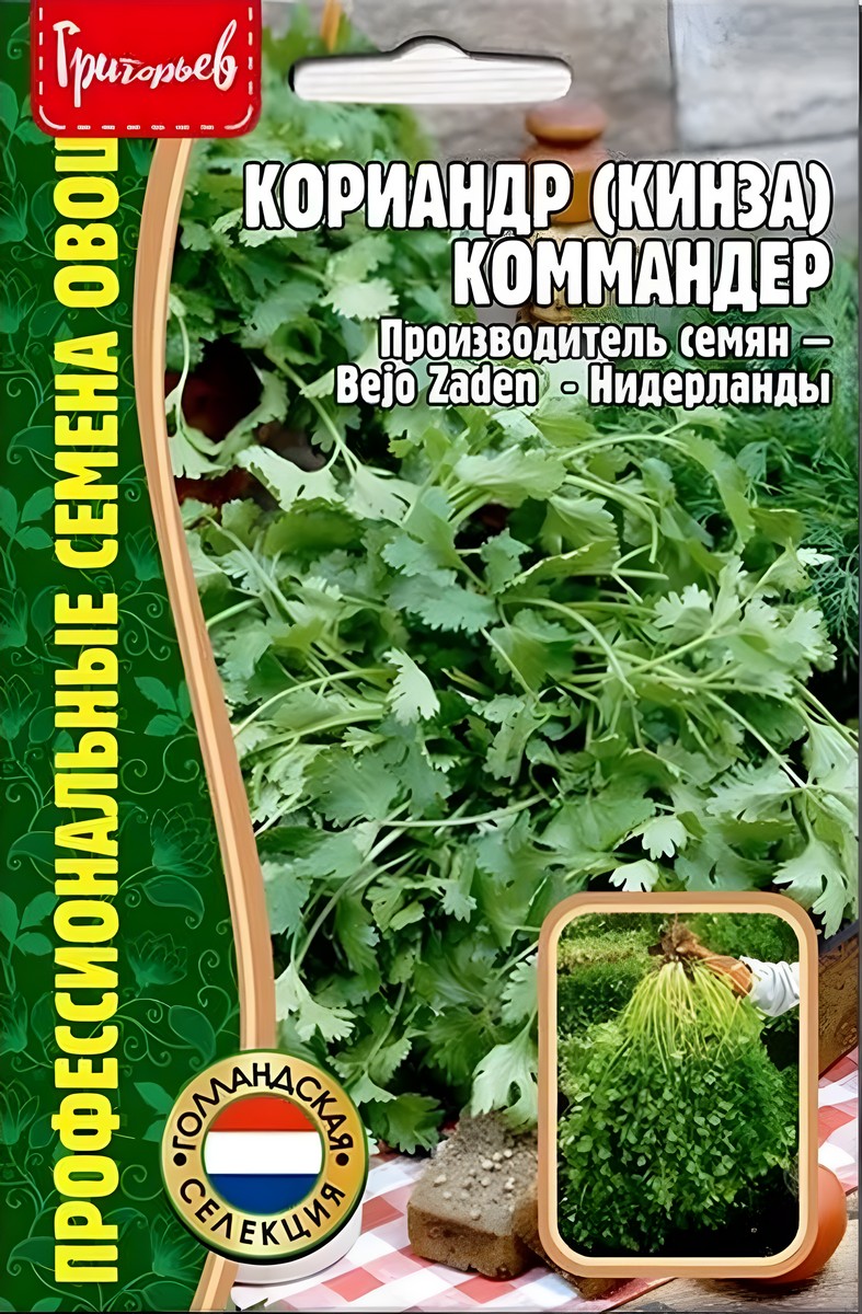Кориандр Коммандер, 200 шт. Bejo Zaden.