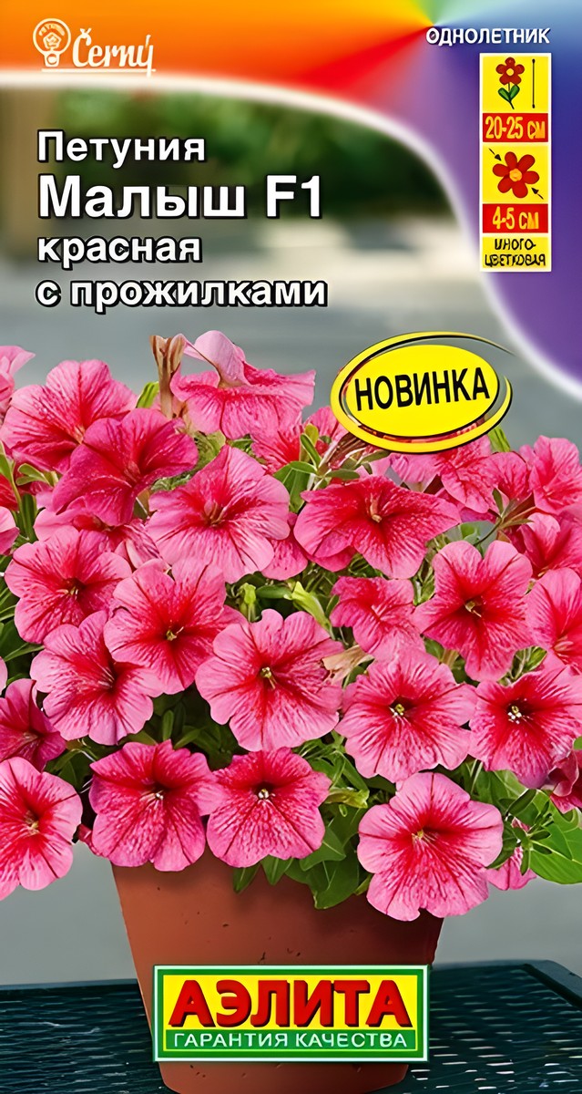 Петуния мини Малыш F1 красная с прожилками многоцветковая, 7 шт. 
