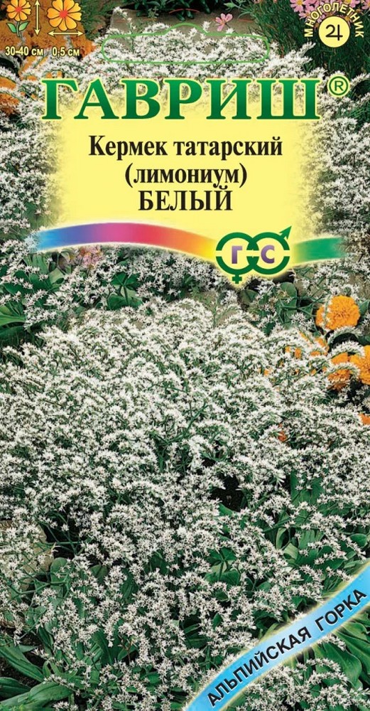 Лимониум белый, 0,05 г. Альпийская горка.