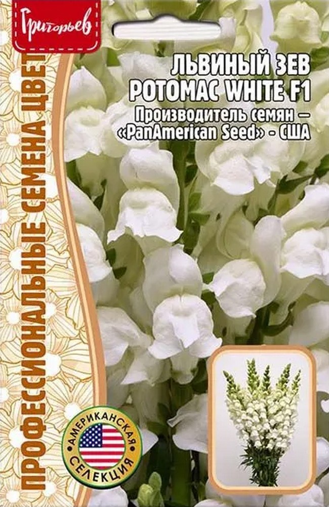 Львиный Зев Potomac White F1, 5 шт.