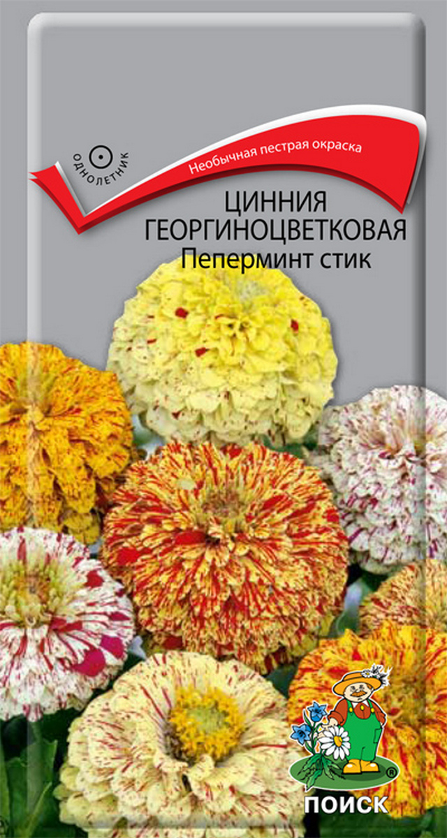 Цинния георгиноцветковая Пеперминт стик, 0,4 г