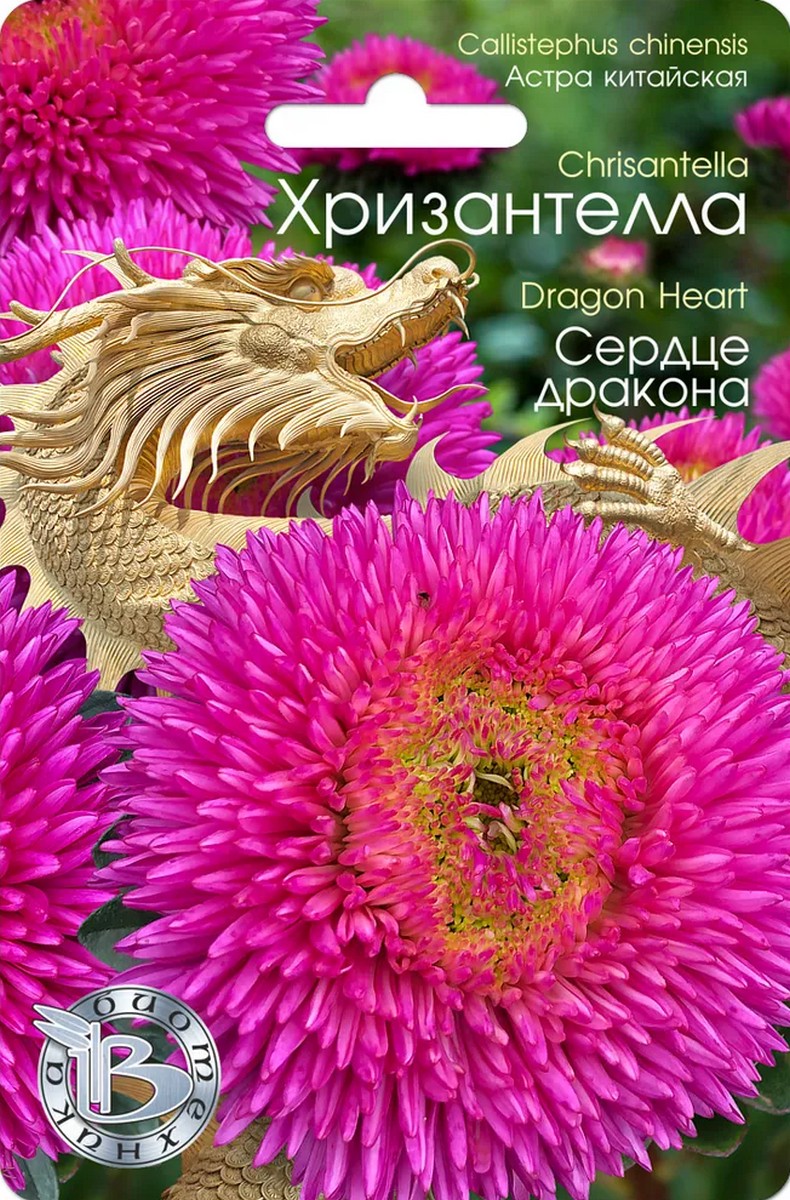 Астра китайская Хризантелла Сердце Дракона, 30 шт. Биотехника