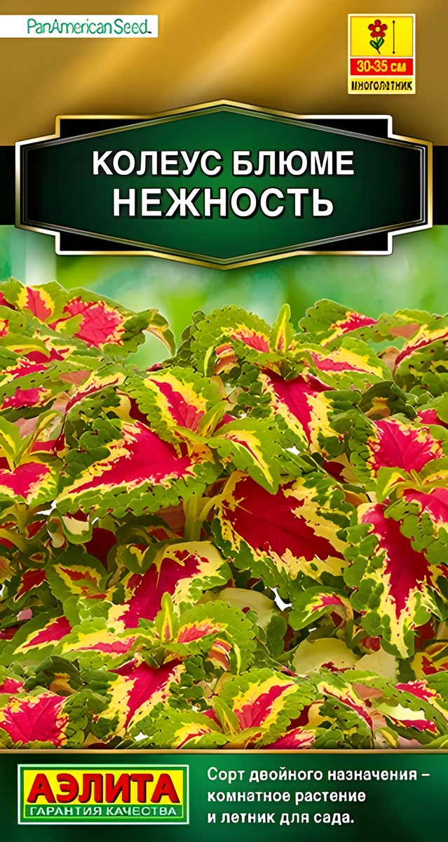 Колеус блюме Нежность, 10 шт.