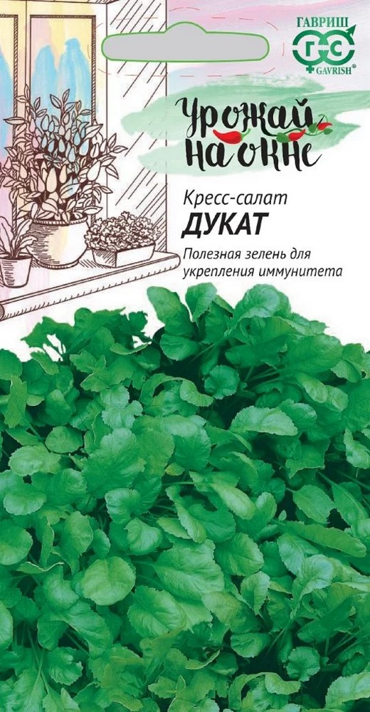 Кресс-салат Дукат, 1 г. Урожай на окне.