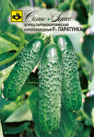 Огурец Паратунка F1, 5 шт. Семко.