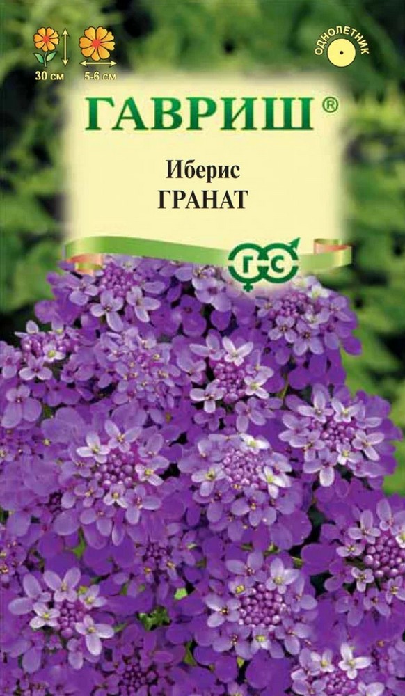 Иберис зонтичный Гранат, 0,2 г 