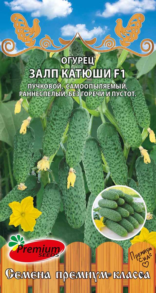Огурец Залп Катюши F1, 5 шт.