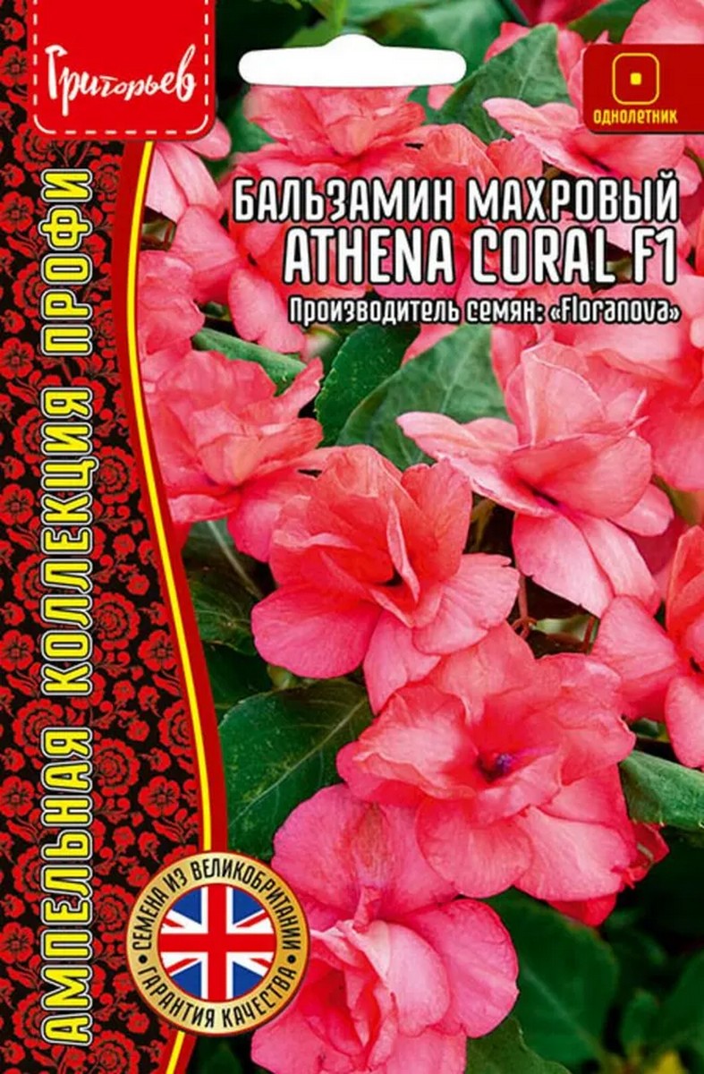 Бальзамин Athena Coral F1, махровый, 4 шт. амп.