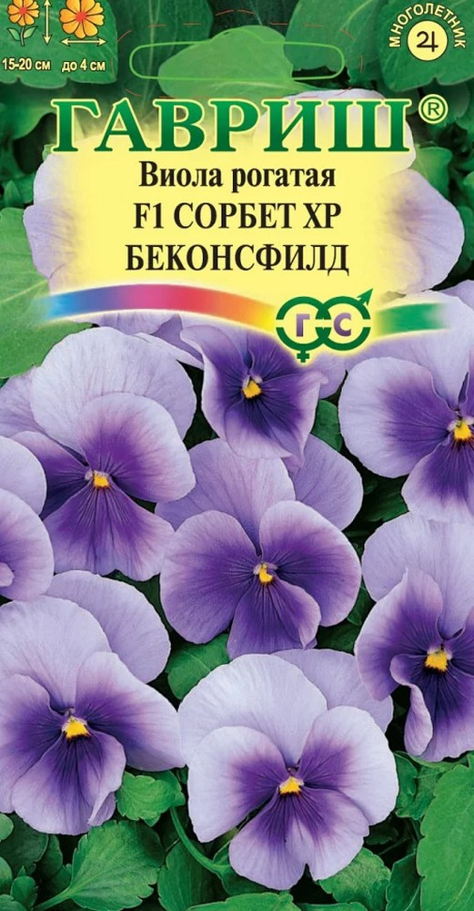 Виола Сорбет ХР Беконсфилд F1, рогатая, 4 шт.