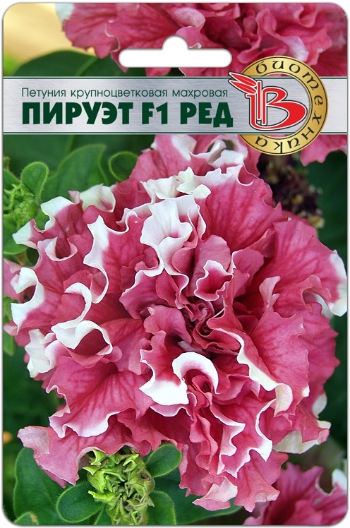 Петуния крупноцветковая махровая Пируэт F1 Ред, 10 шт. Биотехника