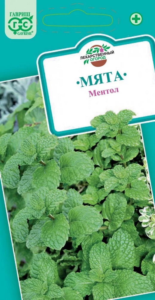 Мята садовая Ментол, 0,05 г. Лекарственная.