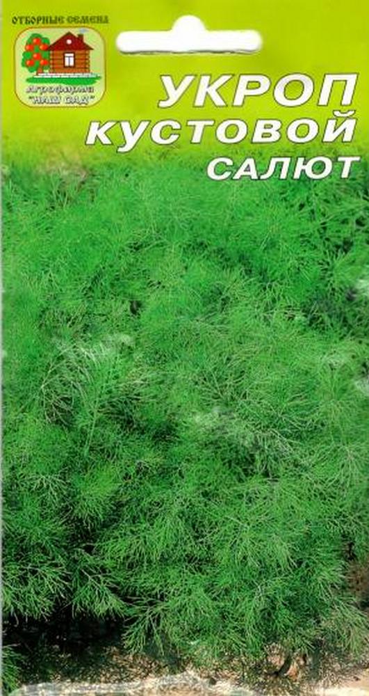 Укроп Салют, 2 г. Наш сад.